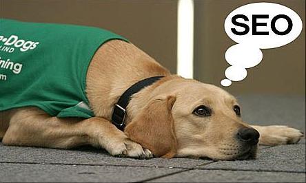 哪些類(lèi)型的改動(dòng)會(huì )影響到網(wǎng)站的seo？