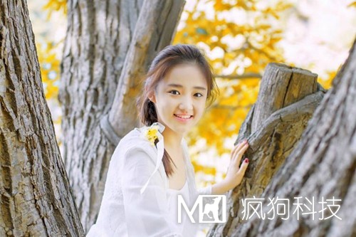 網(wǎng)站優(yōu)化中的死鏈是如何產(chǎn)生的？